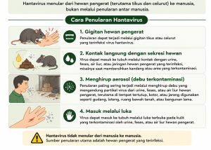 SUSPEK HANTAVIRUS DI KULON PROGO DIPASTIKAN NEGATIF.